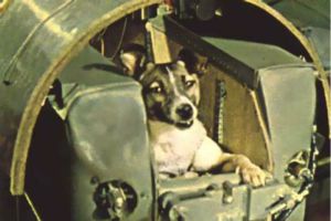 (Portal): 3 Novembro 2018