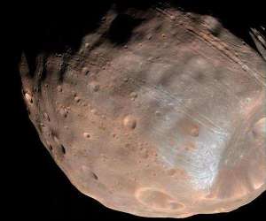 (Portal): 22 Novembro 2018