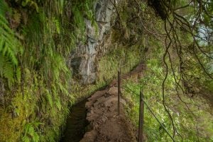 (IDiverSE): IDiverSE workshop and Science trail in Madeira, 27th and 28th of October
