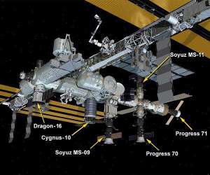 (Portal): 10 Dezembro 2018