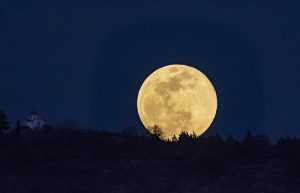 (Portal): O Meu Diário da Lua