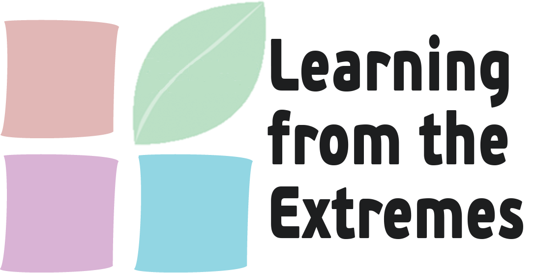 Learning from the Extremes logo