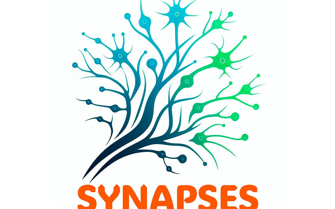 Synapses
