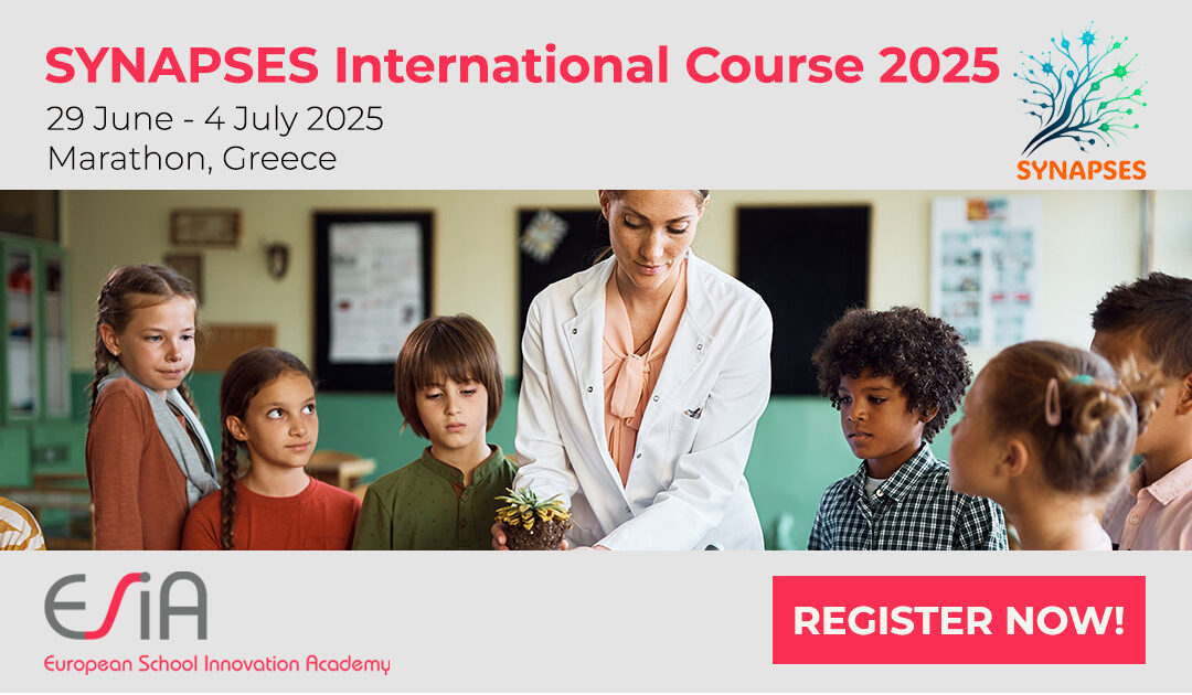 SYNAPSES International Development Course 2025