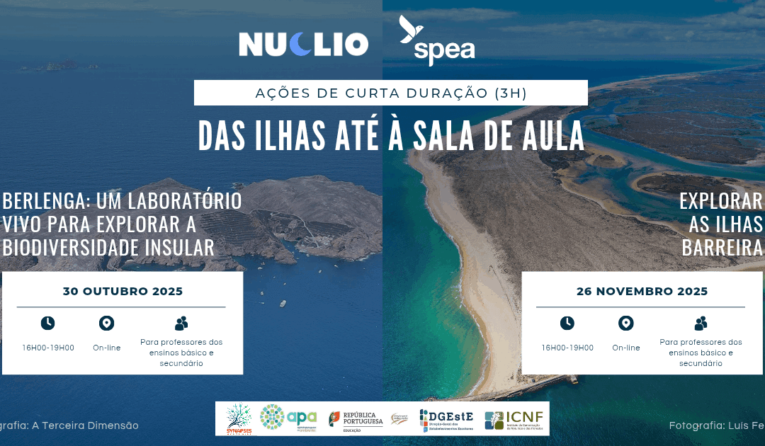 Das ilhas até à sala de aula – 2025