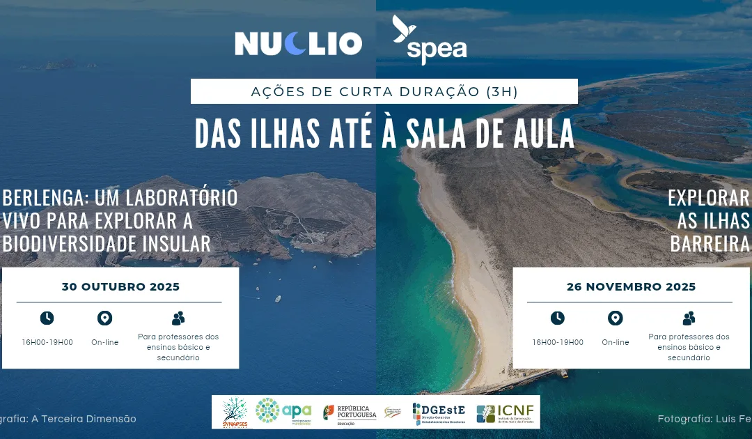 Das ilhas até à sala de aula – 2025